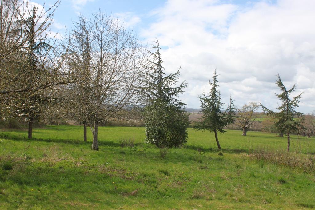La Grande Maison De Pont Lung Ygrande Zewnętrze zdjęcie
